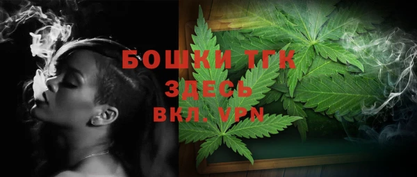 сатива Аркадак