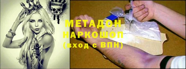 сатива Аркадак
