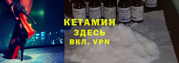 сатива Аркадак