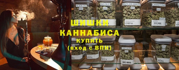 сатива Аркадак